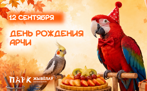 ДЕНЬ РОЖДЕНИЯ АРЧИ!