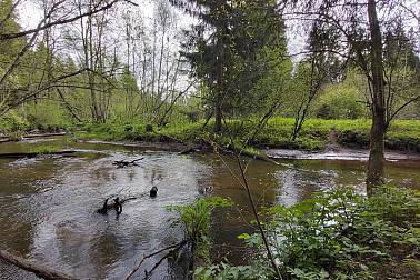 Marshing – a new type of active recreation in Belarus